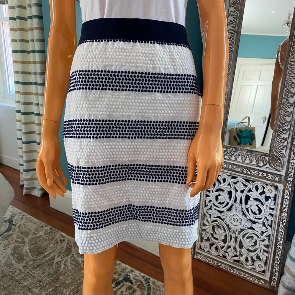 ANN TAYLOR Textural Polka Dot Striped Skirt Petite